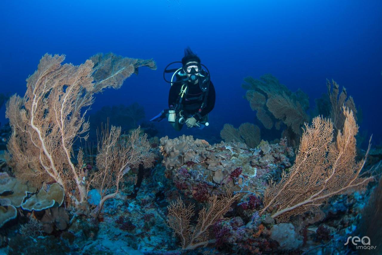 Grand Park Kodhipparu Maldives Üdülőközpont 5*